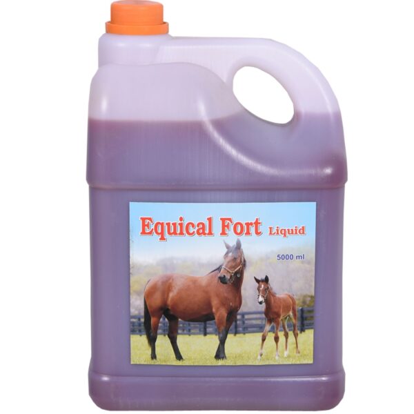 Equical Fort Liquid